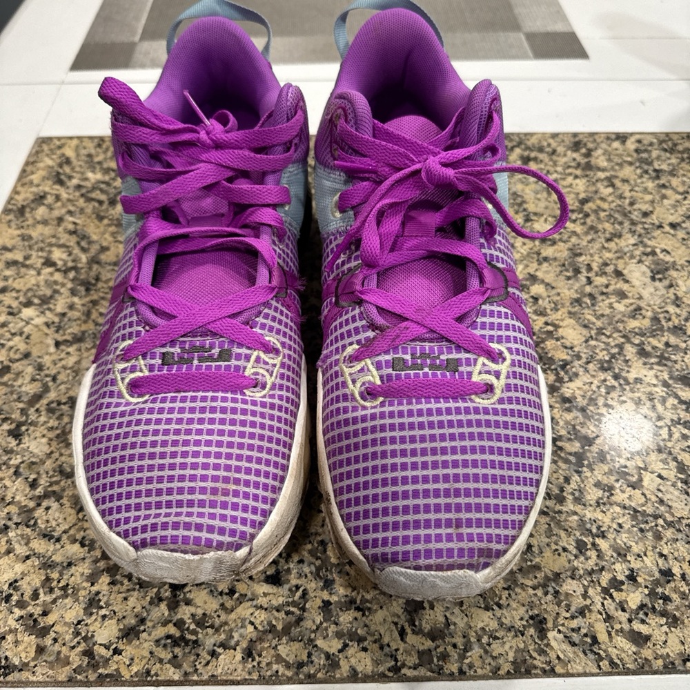 Nike LeBron Purple Sneakers